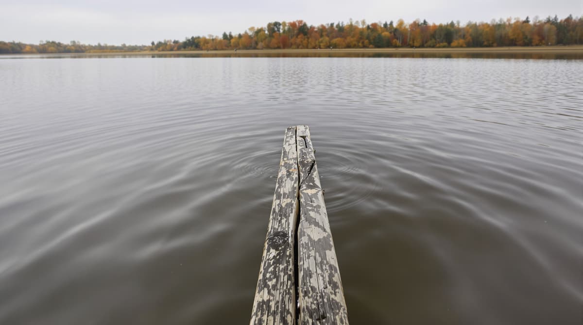 Een exclusieve paddeltocht door de natuurgebieden rond het Gooimeer — waar u kunt ontdekken dat er nog steeds plekken bestaan waar geen Tesla's parkeren